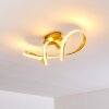 Woyens Deckenleuchte LED Gold, 1-flammig