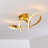 Woyens Deckenleuchte LED Gold, 1-flammig