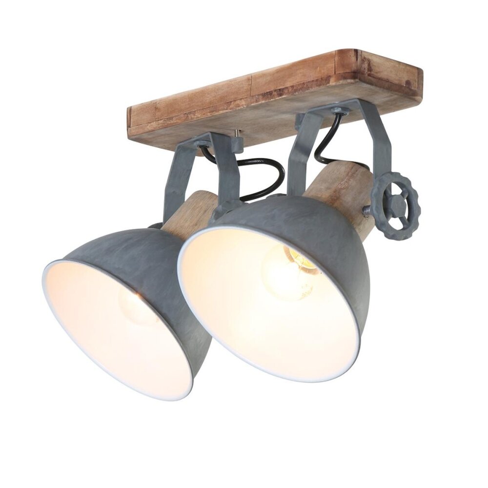 Steinhauer GEARWOOD Strahler Grau, 2-flammig main product photo