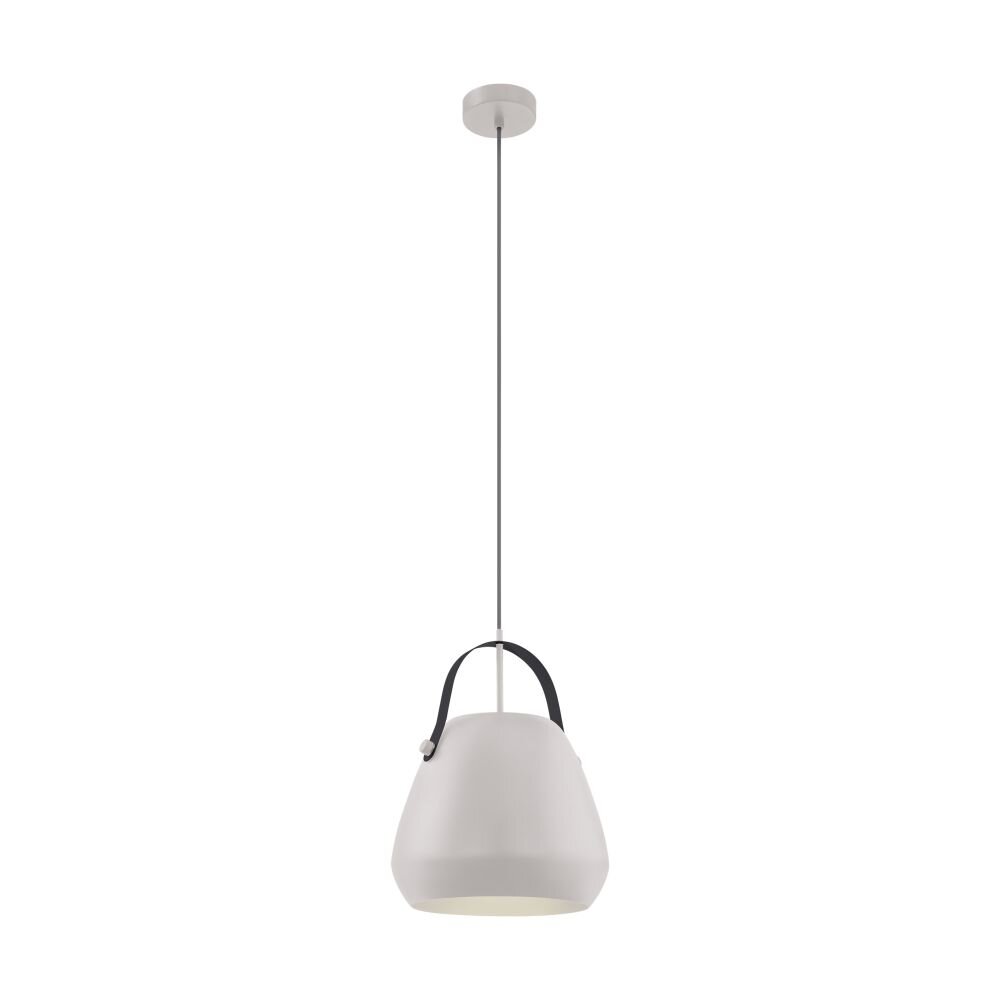 EGLO BEDNALL Hängeleuchte Grau, Schwarz, 1-flammig main product photo