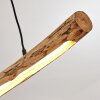 Winterthur Pendelleuchte LED Holz hell, Schwarz, 1-flammig