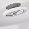 Somalia Deckenventilator LED Silber, Transparent, Klar, 1-flammig