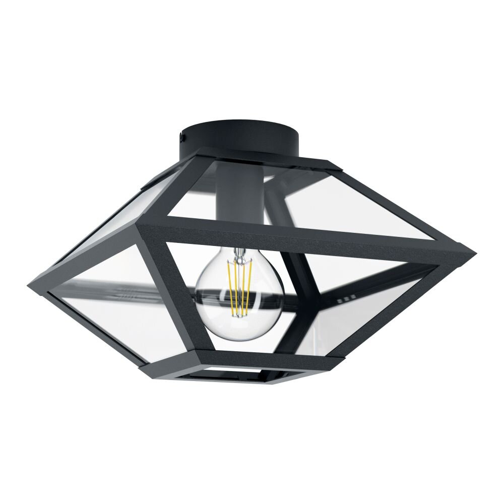 EGLO CASEFABRE Deckenleuchte Schwarz, 1-flammig main product photo