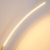 Nagu Stehleuchte LED Gold, 1-flammig