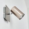 Zuoz Wandspot Nickel-Matt, 1-flammig