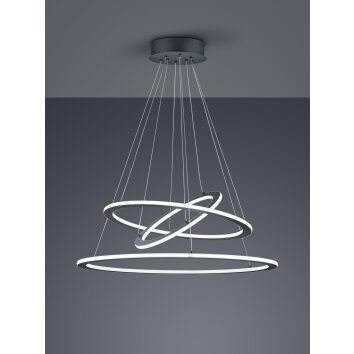 Trio Leuchten Durban Pendelleuchte LED Anthrazit, 1-flammig