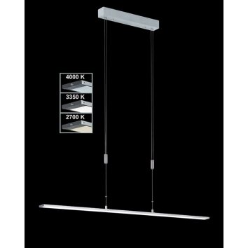 Fischer Leuchten Shine Pendelleuchte LED Aluminium, 1-flammig