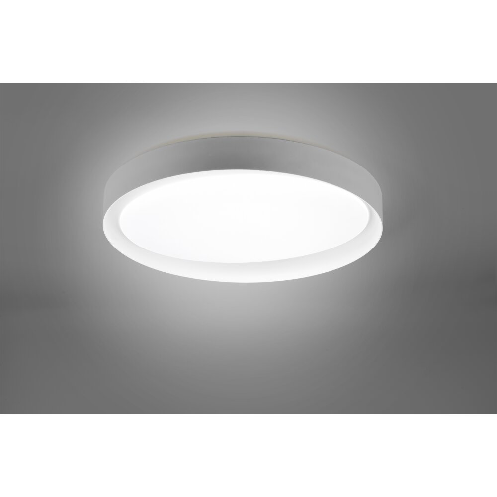 Reality Zeta Deckenleuchte LED Grau, 1-flammig, Fernbedienung main product photo