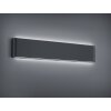 Trio Leuchten THAMES II Wandleuchte LED Anthrazit, 2-flammig