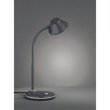 Reality BERRY Tischleuchte LED Titan, 1-flammig