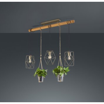 Trio Leuchten Plant Pendelleuchte LED Dunkelbraun, Nickel-Matt, 3-flammig