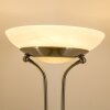 Biot Deckenfluter LED Nickel-Matt, 2-flammig