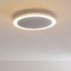 Aitrach Deckenleuchte LED Silber, 1-flammig