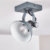 Gudo Deckenleuchte Grau, Silber, 1-flammig
