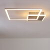 Chilkat Deckenleuchte LED Nickel-Matt, 1-flammig