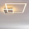 Chilkat Deckenleuchte LED Nickel-Matt, 1-flammig