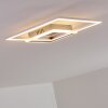 Chilkat Deckenleuchte LED Nickel-Matt, 1-flammig