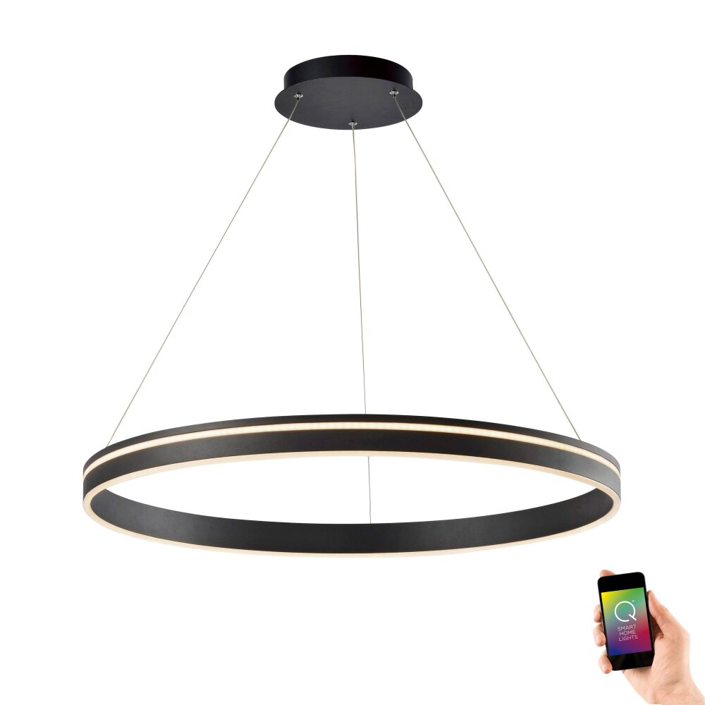 Paul Neuhaus Q-VITO Pendelleuchte LED Anthrazit, 1-flammig, Fernbedienung main product photo