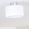 Baraboo Deckenleuchte LED Nickel-Matt, 2-flammig