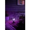 Philips Hue Ambiance White & Color Econic Sockelleuchte LED Schwarz, 1-flammig, Farbwechsler