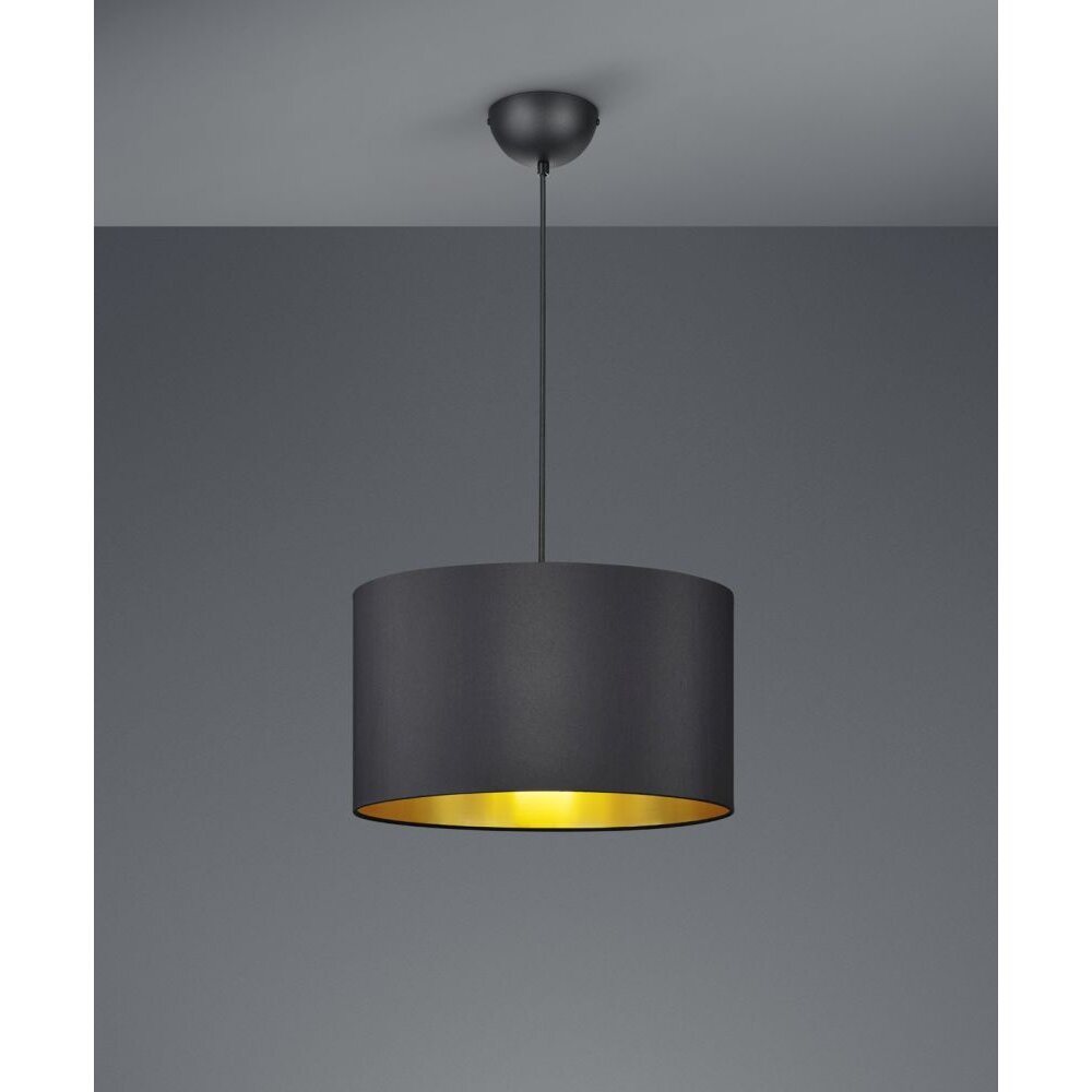 Trio Leuchten HOSTEL Pendelleuchte Schwarz, 1-flammig main product photo