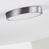 Broglen Deckenleuchte LED Nickel-Matt, 1-flammig