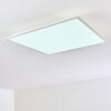 Antria Deckenpanel LED Weiß, 1-flammig, Farbwechsler Antria Deckenpanel LED Weiß, 1-flammig, Farbwechsler