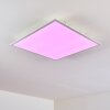 Antria Deckenpanel LED Weiß, 1-flammig, Farbwechsler Antria Deckenpanel LED Weiß, 1-flammig, Farbwechsler