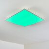 Antria Deckenpanel LED Weiß, 1-flammig, Farbwechsler Antria Deckenpanel LED Weiß, 1-flammig, Farbwechsler