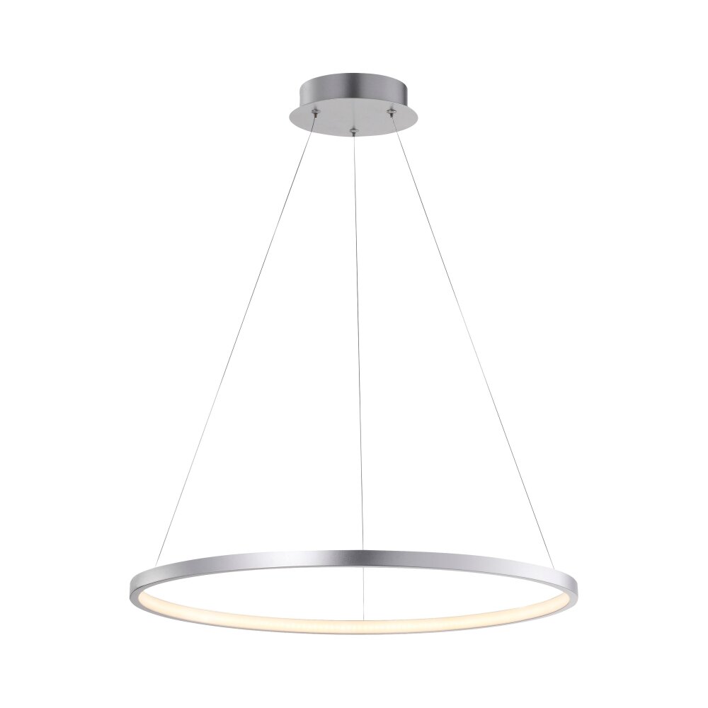 Leuchten Direkt CIRCLE Pendelleuchte LED Silber, 1-flammig main product photo