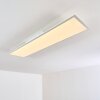 Antria LED Panel Weiß, 1-flammig, Fernbedienung, Farbwechsler