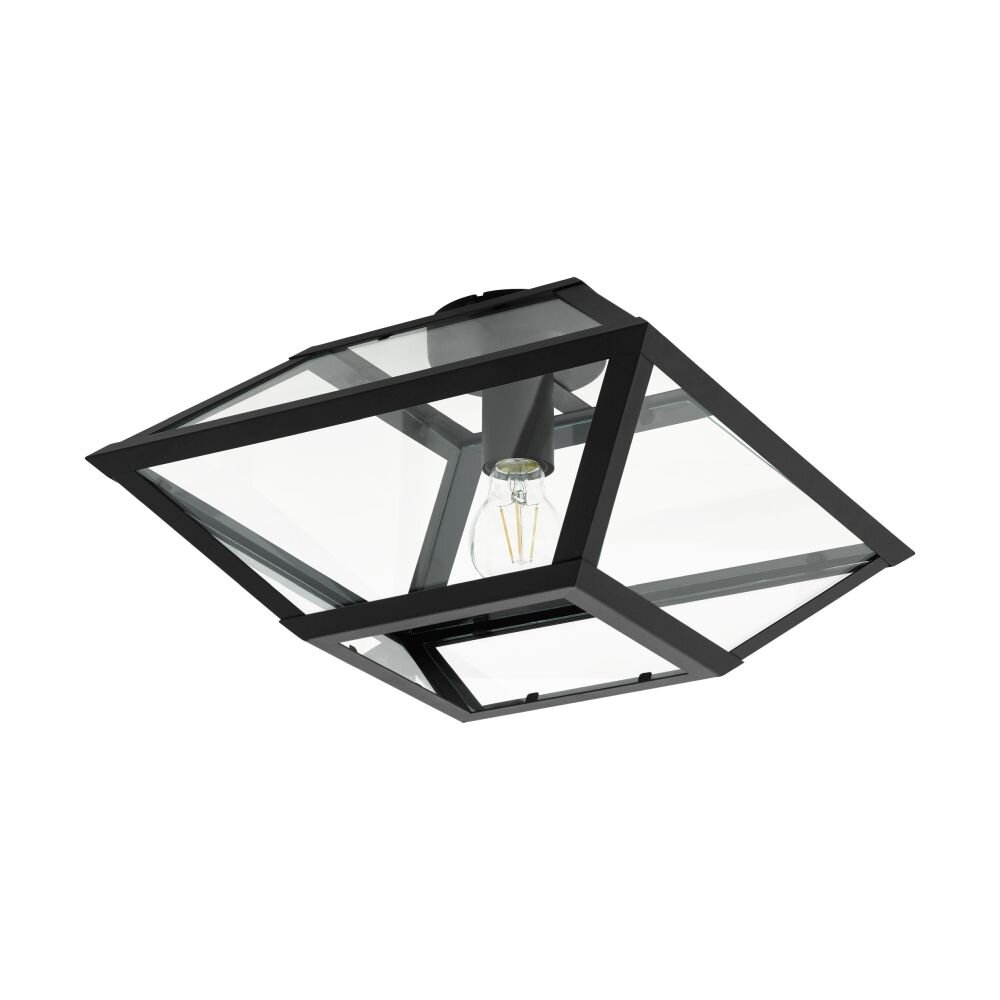 EGLO CASEFABRE Deckenleuchte Schwarz, 1-flammig main product photo