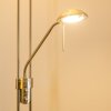 Rom Deckenfluter LED Nickel-Matt, 2-flammig