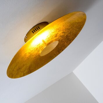 Nipissing Deckenleuchte LED Gold, 1-flammig Nipissing Deckenleuchte LED Gold, 1-flammig