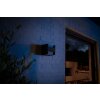 Philips Hue White Fuzo Wandleuchte LED Schwarz, 1-flammig