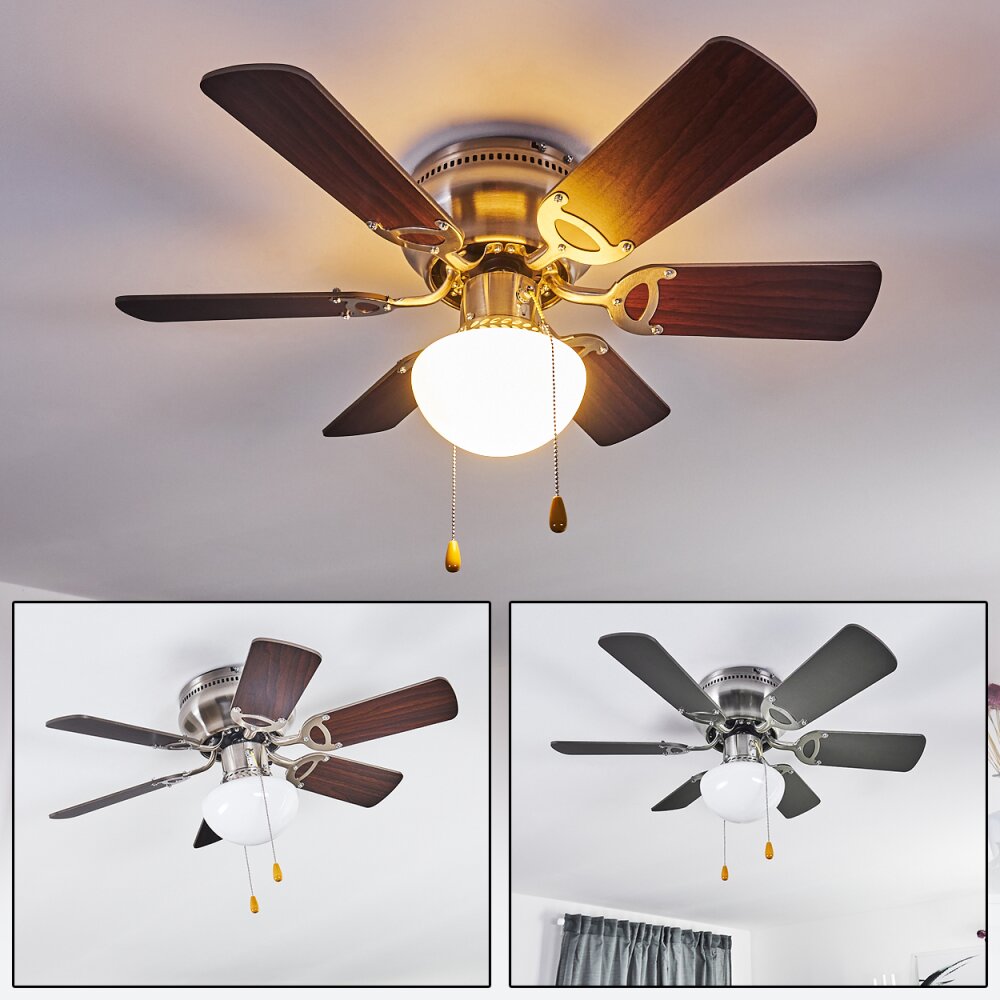 Trillo Deckenventilator Grau, Holz hell, Nickel-Matt, 1-flammig main product photo